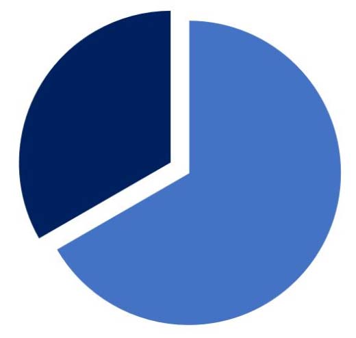 pie-chart-new